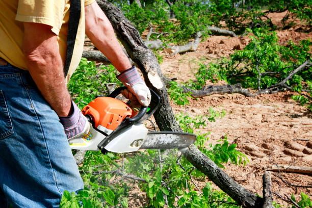 Best Commercial Tree Services  in Shepherdsville, KY